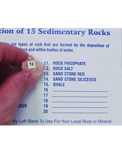 United Scientific Sedimentary Rock Set 15