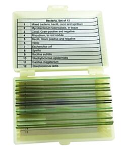 United Scientific Bacteria Slide Set Of 12