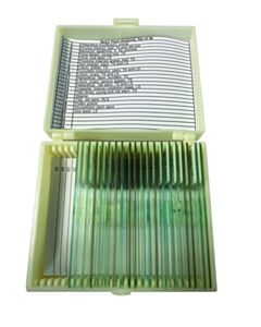 United Scientific Basic Plant Anatomy Slide Set Of 20
