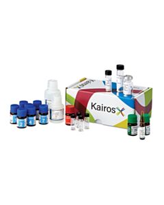 Waters Kairos Amino Acid 100+ Manual First Time