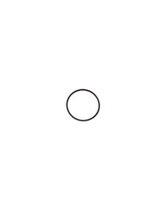 Waters O-Ring, Chamber Bottom, 40 mm