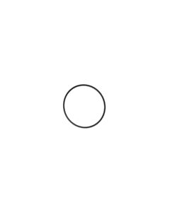 Waters O-Ring, Base Plate, Large