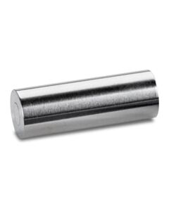 Waters µBondapak Amino (NH2) Sentry Guard Cartridge, 125Å, 10 µm, 3.9 mm X 20 mm, 2/pk