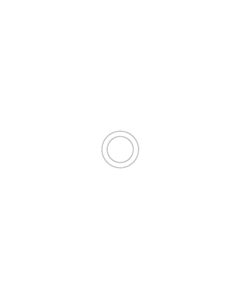 Waters O-Ring, 2/pk