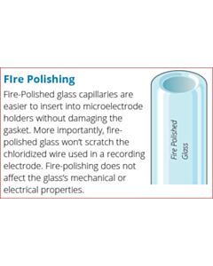 World Precision Instruments Glass Capillaries For Nanoliter 2020/2010, Fire Polished