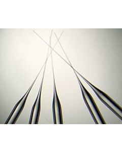 World Precision Instruments Pre-Pulled Glass Pipettes, Long Taper -Tip10lt