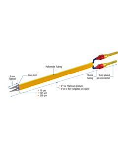 World Precision Instruments Tungsten Metal Electrodes Profile B, 76 mm Long, 0.216 mm Shaft-Tst33c20kt