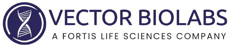 Vector Biolabs, a Fortis LS Co. ADENOVIRUS-CMV-AKT1(MYR)